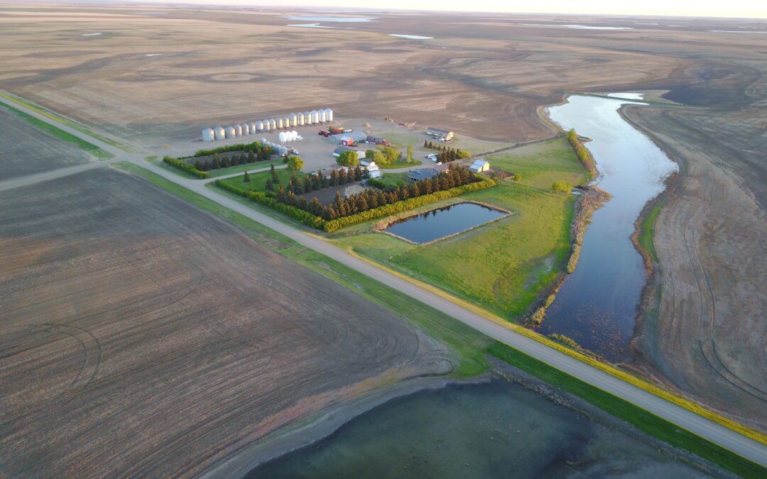 Aerial view of the farm